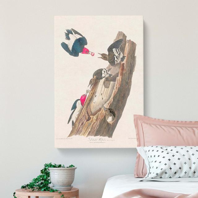 Woodpeckers by John Audubon - Wrapped Canvas Painting Print East Urban Home Size: 60cm H x 40cm W x 3cm D on Productcaster.