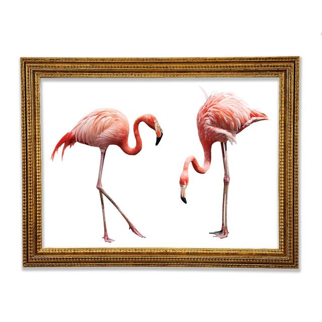 Rosa Flamingo Duo - Einzelne Bilderrahmen Kunstdrucke Sansibar Home Größe: 84,1 cm H x 118,9 cm B x 3 cm T on Productcaster.