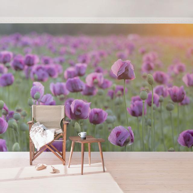 Violet Poppy Flower Meadow in Spring Semi-Gloss Wallpaper Roll East Urban Home Size: 4.8m x 320cm, Materialqualität: Premium (150g/m²) on Productcaster.