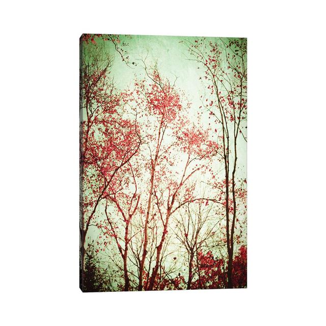 Autumn in Michigan by Olivia Joy StClaire - Wrapped Canvas Art Prints ClassicLiving Size: 45.72cm H x 30.48cm W x 1.91cm D on Productcaster.