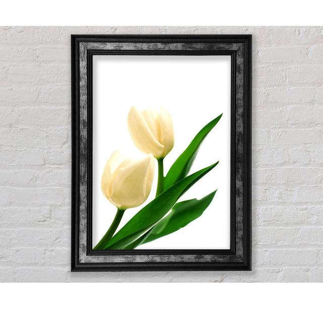 White Tulips - Single Picture Frame Art Prints Bright Star Size: 142.2cm H x 84.1cm W x 8cm D on Productcaster.