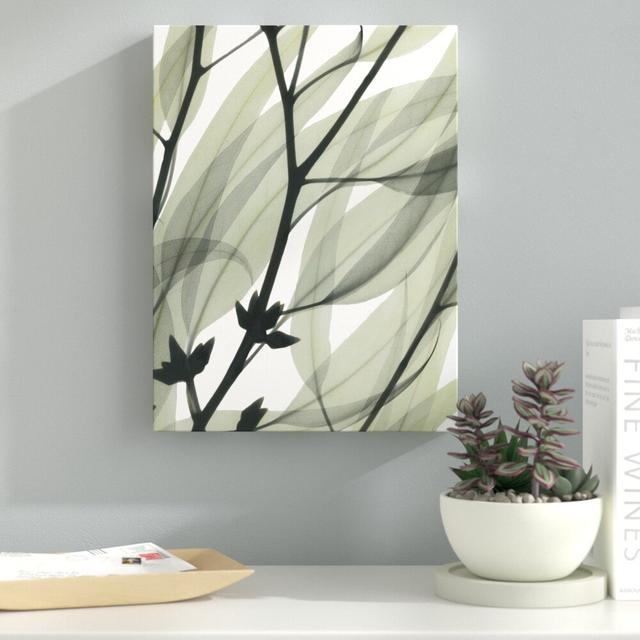 Eucalyptus Safari - Wrapped Canvas Print East Urban Home Size: 51 cm H x 38 cm W on Productcaster.