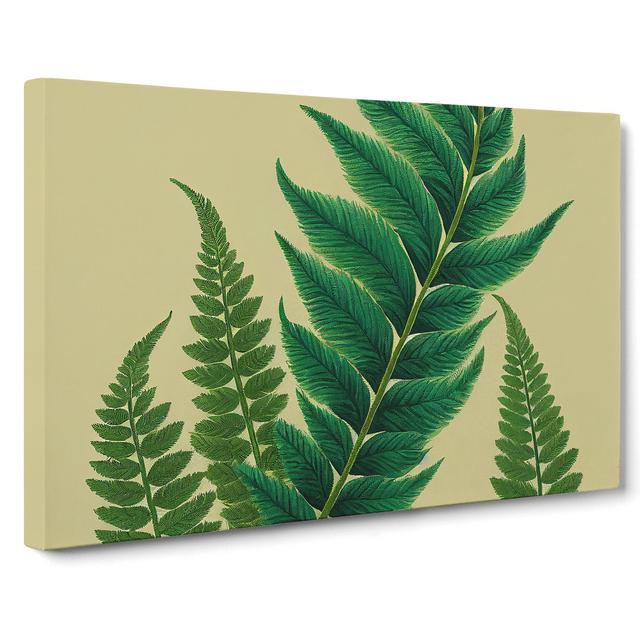 Perfect Fern Leaf - Wrapped Canvas Print 17 Stories Size: 35cm H x 50cm W x 3cm D on Productcaster.