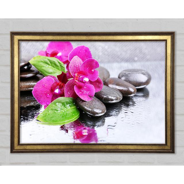 Orchids On The Wet Pebbles - Print Ebern Designs Size: 59.7cm H x 84.1cm W x 1.5cm D on Productcaster.