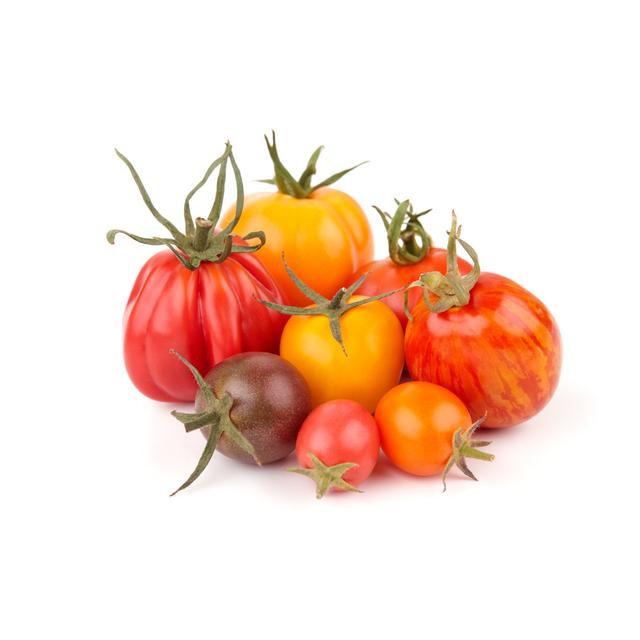 Variation Of Tomatoes by Jules_Kitano - Wrapped Canvas Print Ebern Designs Size: 61cm H x 91cm W on Productcaster.