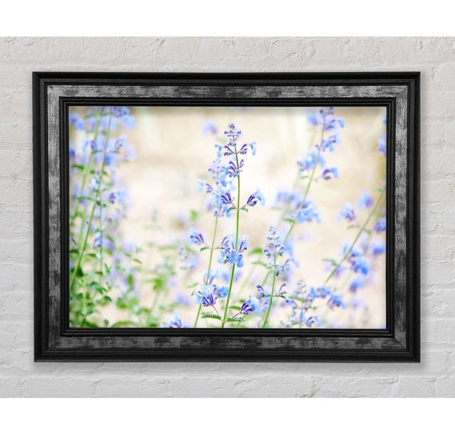 Blue Small Flowers - Print Bright Star Size: 21cm H x 42cm W x 8cm D on Productcaster.