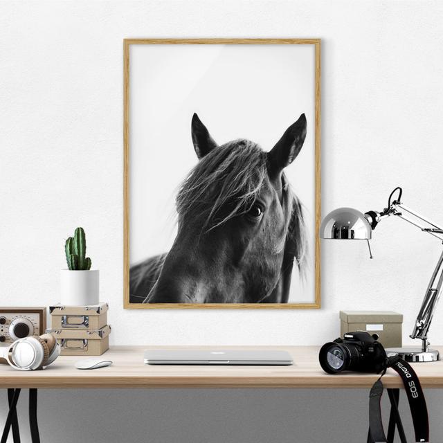 Curious Horse - Picture Frame Graphic Art Rosalind Wheeler Size: 100cm H x 70cm W x 2cm D, Frame Option: Brown Framed on Productcaster.