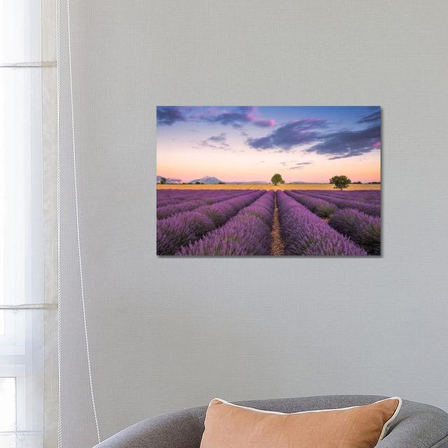 Valensole Sunset, Provence, France by Jim Nilsen - Wrapped Canvas Print Lily Manor Size: 45.72cm H x 66.04cm W x 1.91cm D on Productcaster.