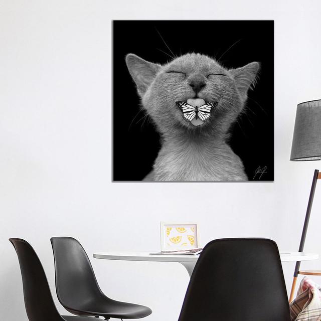 Baaahhh by Kathrin Federer - Wrapped Canvas Photograph Happy Larry Size: 45.72cm H x 45.72cm W x 1.905cm D on Productcaster.