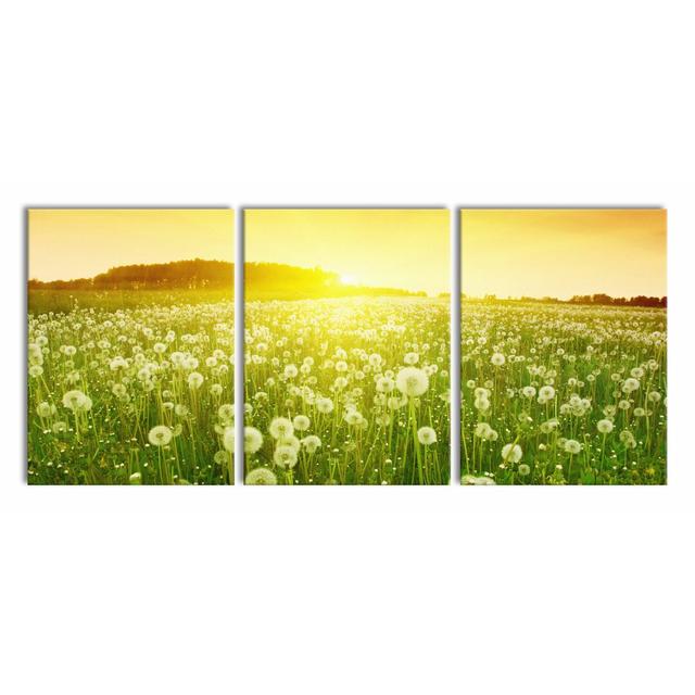 Dandelion at Sunset Photographic Art Print Multi-Piece Image on Canvas in Green East Urban Home Size: 80cm H x 180cm W on Productcaster.