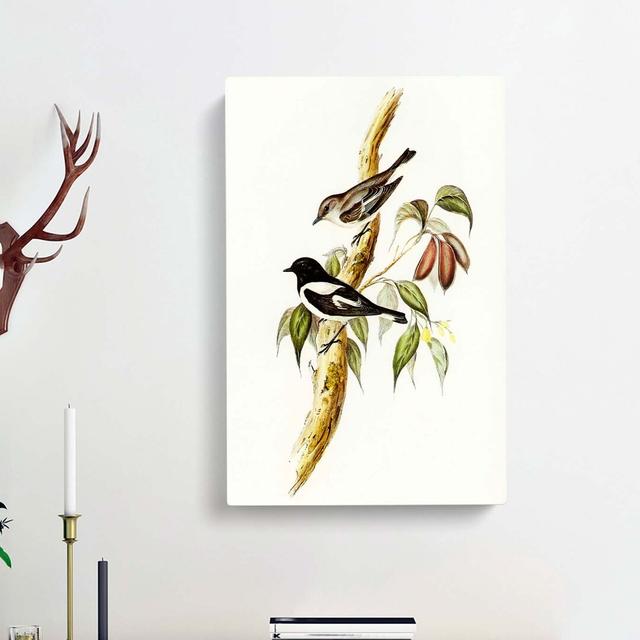 Pied Robins by Elizabeth Gould - Wrapped Canvas Painting East Urban Home Size: 50cm H x 35cm W x 3cm D on Productcaster.