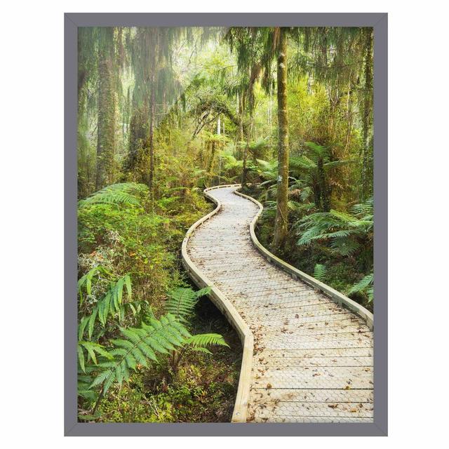 Path in the Jungle - Picture Frame Graphic Art Union Rustic Frame Option: Grey Framed, Size: 55cm H x 40cm W x 2cm D on Productcaster.