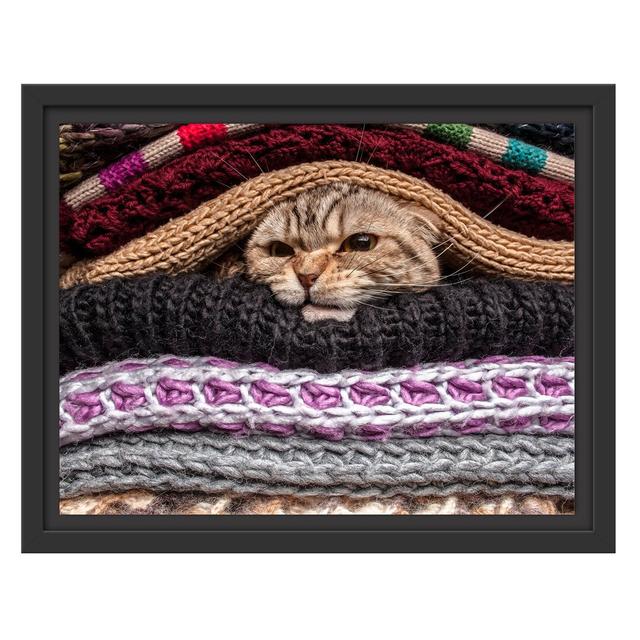 Gerahmtes Wandbild Katzen zwischen Pullovern East Urban Home Größe: 30 cm H x 38 cm B on Productcaster.