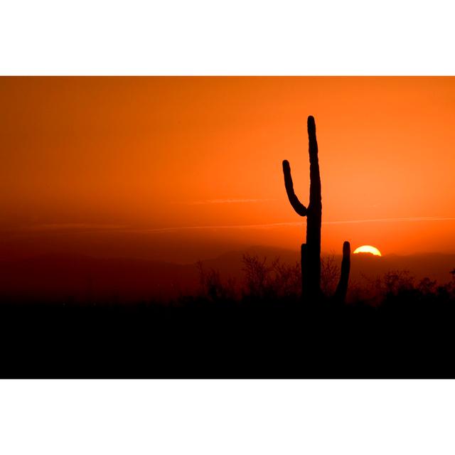 Cactus In An Arizona Sunset - Wrapped Canvas Art Prints Natur Pur Size: 30cm H x 46cm W x 3.8cm D on Productcaster.