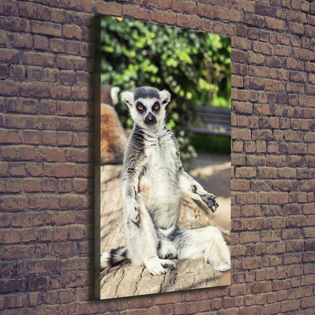 Lemur - Wrapped Canvas Art Prints Brayden Studio on Productcaster.