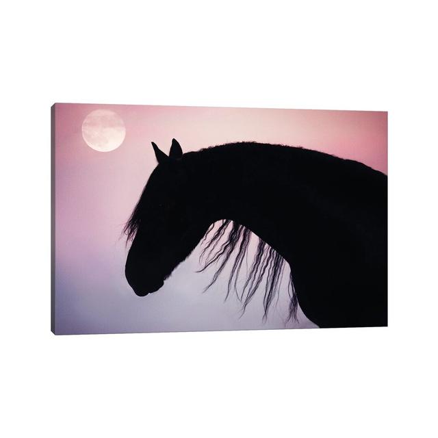 Friesian Silhoutte - Wrapped Canvas Print August Grove Size: 66.04cm H x 101.6cm W x 3.81cm D on Productcaster.