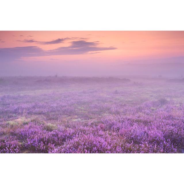 Die Niederlande im Morgengrauen von Sara_winter - Kunstdrucke auf Leinwand ohne Rahmen ClassicLiving Größe: 60 cm H x 90 cm B on Productcaster.