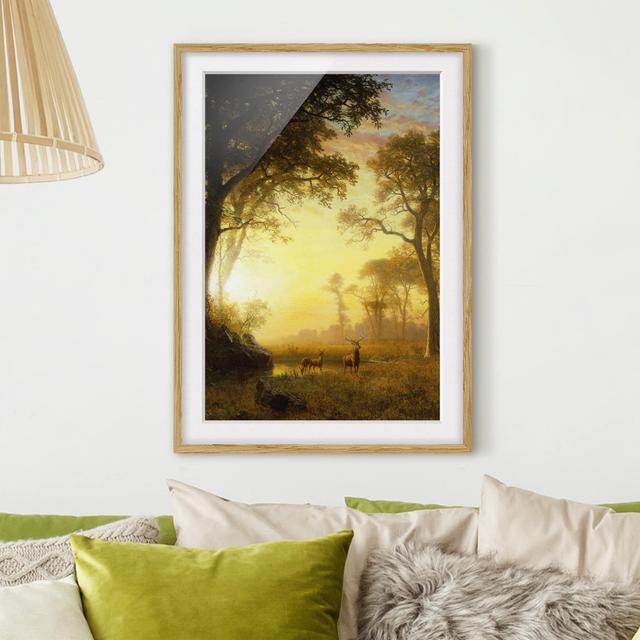 Sunlit Clearing - Picture Frame Photograph Print on Paper East Urban Home Frame Options: Natural oak, Size: 55 cm H x 40 cm W on Productcaster.