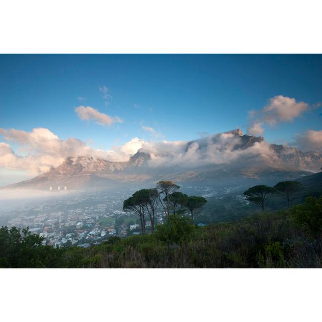 Cape Town by LouisHiemstra - Print Alpen Home Size: 120cm H x 80cm W on Productcaster.