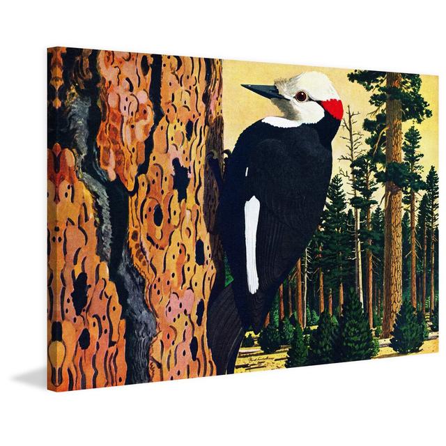 Woodpecker by Marmont Hill - Wrapped Canvas Painting Print East Urban Home Size: 101cm H x 152cm W on Productcaster.