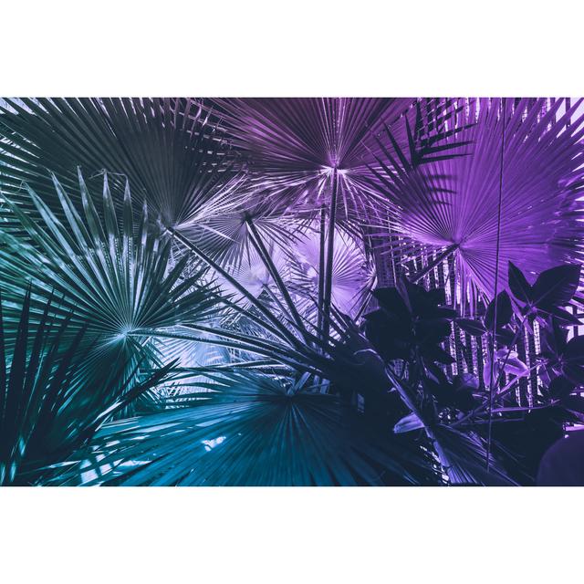 Neon Tropical Palm Leaf Abstract Art Bay Isle Home Size: 30cm H x 46cm W x 3.8cm D on Productcaster.