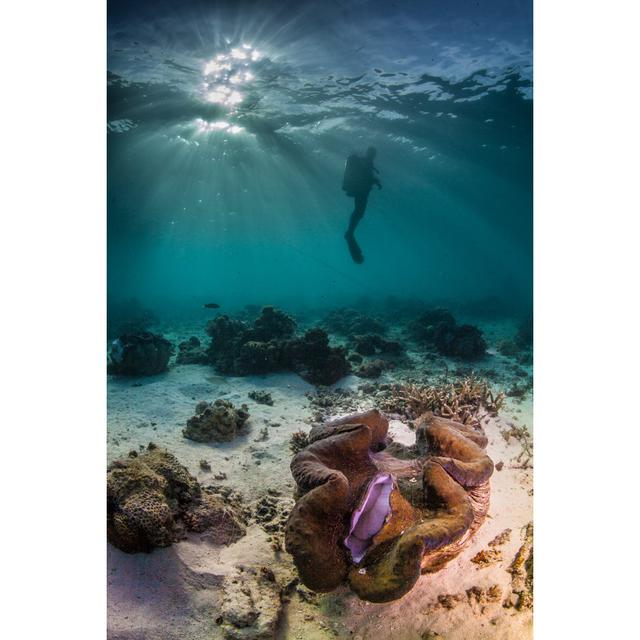 Diver And A Giant Clam House of Hampton Size: 76cm H x 51cm W on Productcaster.