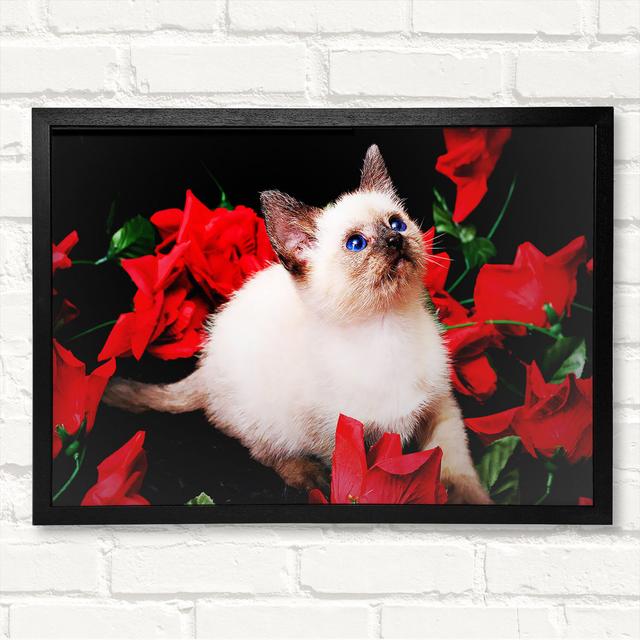 Kitten Roses Framed Print Latitude Run Size: 21cm H x 29.7cm W on Productcaster.