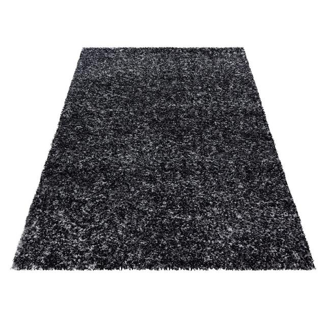 Ladarren Anthracite Speckled Rug Latitude Run Rug Size: Rectangle 60 x 110cm on Productcaster.