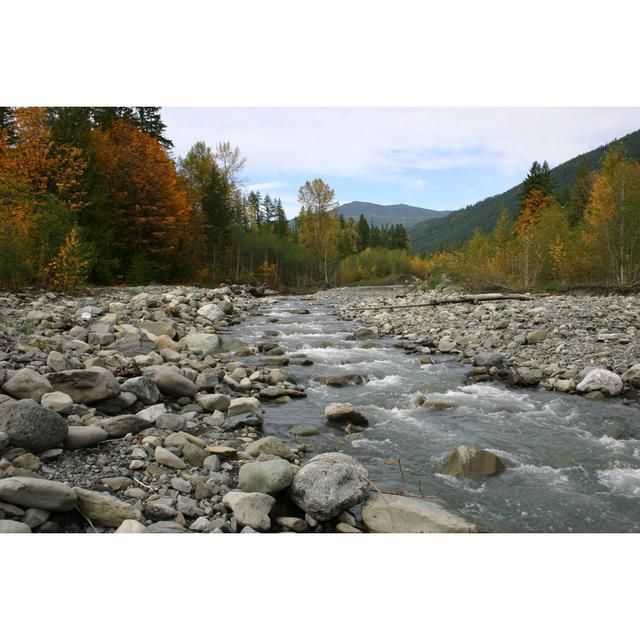 Delores Nooksack River In Forest by GregJohnston - Wrapped Canvas Print Alpen Home Size: 20cm H x 30cm W x 3.8cm D on Productcaster.