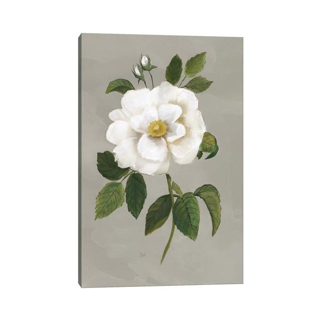 Botanical Garden Rose by Nan - Painting on Canvas August Grove Size: 101.6cm H x 66.04cm W x 3.81cm D, Format: Wrapped Canvas on Productcaster.