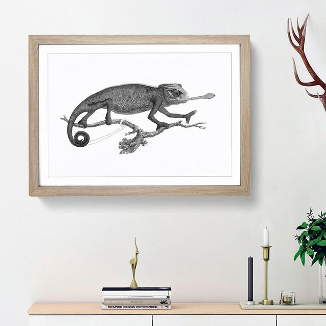 Chameleon in Black & White by George Shaw - Picture Frame Painting Print East Urban Home Frame Option: Oak Framed, Size: 36cm H x 48cm W x 2cm D on Productcaster.