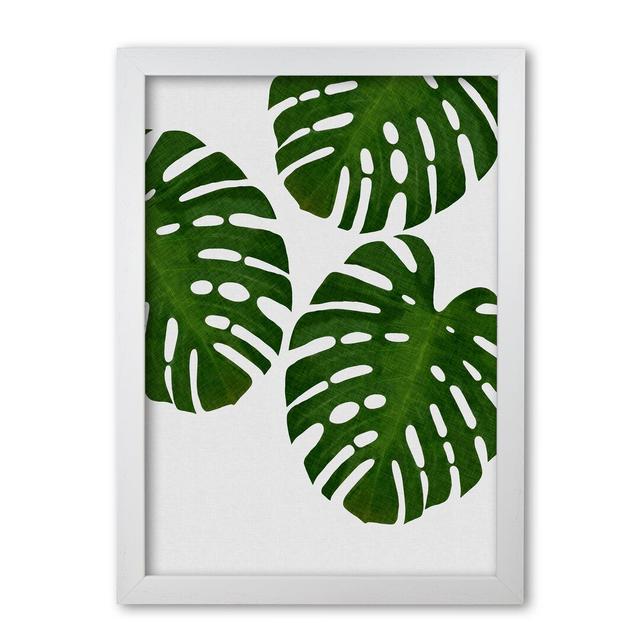 Monstera Leaf III - Print East Urban Home Format: White Grain Frame, Size: 60 cm H x 42 cm W x 5 cm D on Productcaster.