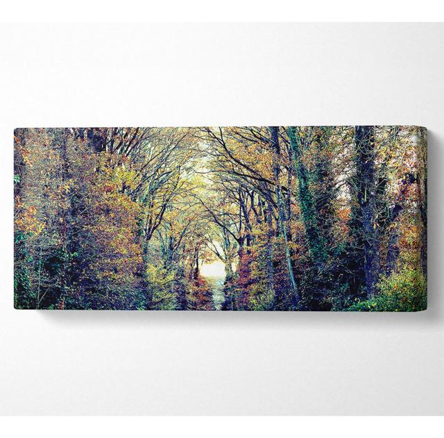 Just Trees Panoramic Canvas Union Rustic Size: 40.6cm H x 101.6cm W on Productcaster.