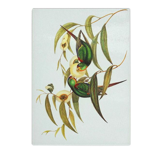 Tempered Glass Swift Lorikeets by Elizabeth Gould Chopping Board East Urban Home Size: 20 cm W x 28.5 cm L on Productcaster.