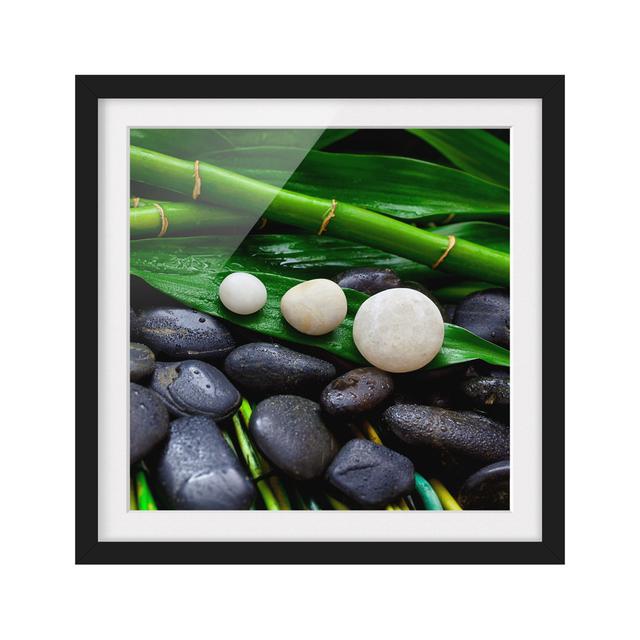 Green Bamboo with Zen Stones - Picture Frame Graphic Art Bloomsbury Market Size: 70cm H x 70cm W x 2cm D, Frame Option: Black on Productcaster.