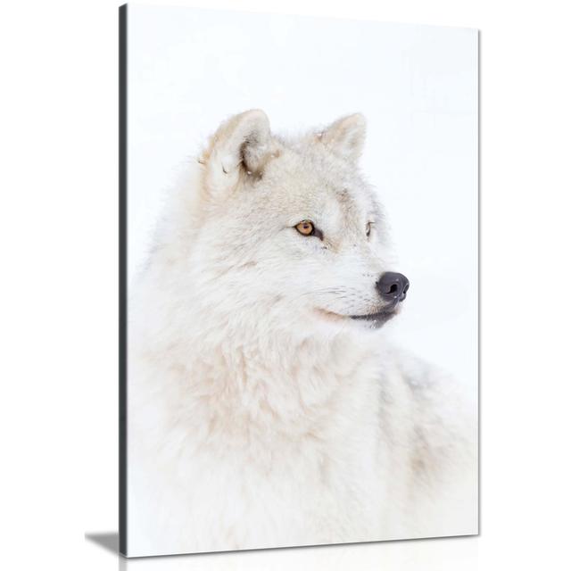 Arctic Wolf - Wrapped Canvas Print Panther Print Size: 31cm H x 20cm W x 1.8cm D on Productcaster.