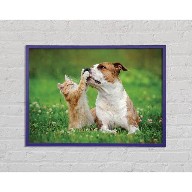 Cat No Dog Talk - Single Picture Frame Art Prints Brayden Studio Size: 59.7cm H x 84.1cm W x 2cm D on Productcaster.