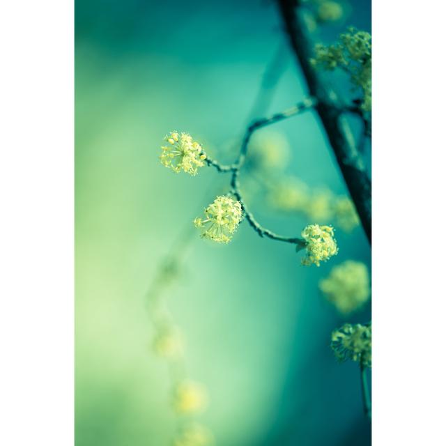 Yellow Spring by Jeja - No Frame Art Prints on Canvas 17 Stories Size: 46cm H x 30cm W on Productcaster.