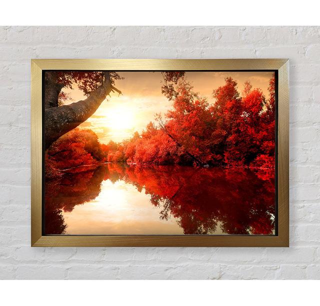 Stunning Red Forest Reflections In The River Framed Print Bright Star Size: 59.7cm H x 84.1cm W on Productcaster.