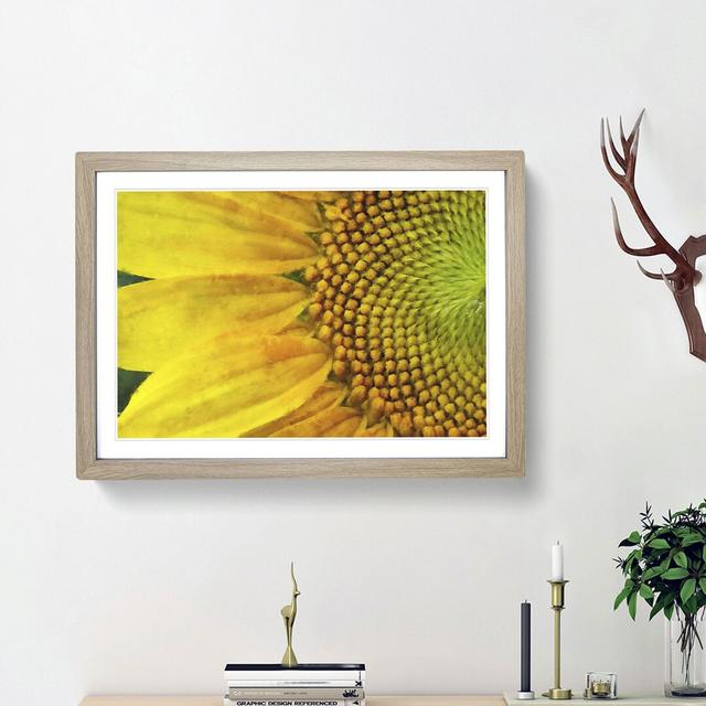 Petals of the Yellow Sunflower - Picture Frame Painting Print on MDF East Urban Home Frame Option: Oak Framed, Size: 24cm H x 33cm W x 2cm D on Productcaster.