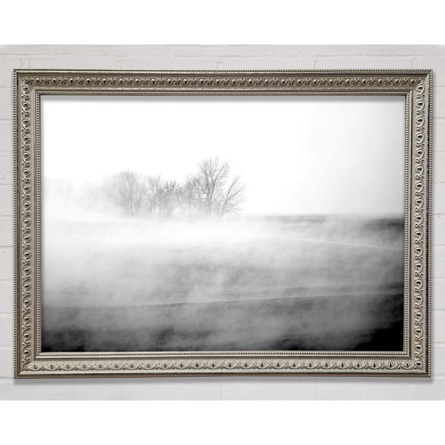 Absorption B N W Framed Print Bright Star Size: 100cm H x 141.4cm W on Productcaster.