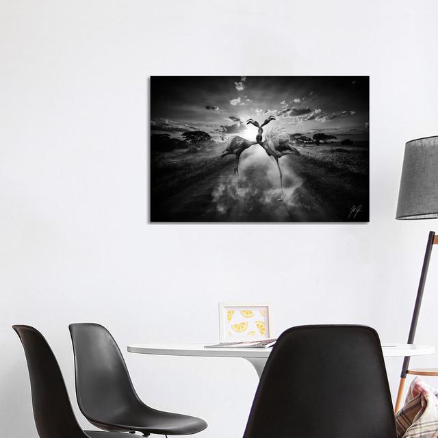 Love or Battle by Kathrin Federer - Wrapped Canvas Photograph Brayden Studio Size: 66.04cm H x 101.6cm W x 3.81cm D on Productcaster.