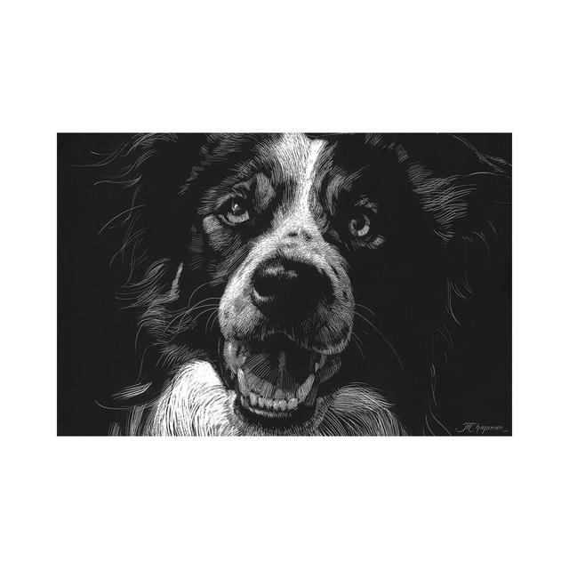 Canine Scratchboard XVIII by Julie T. Chapman - Wrapped Canvas Art Prints Brayden Studio Size: 66.04cm H x 101.6cm W x 3.81cm D on Productcaster.