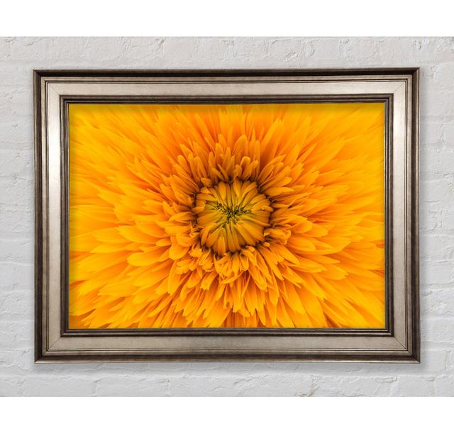 Gorgeous Yellow Flower Delight - Single Picture Frame Art Prints Bright Star Size: 42cm H x 59.7cm W x 8cm D on Productcaster.