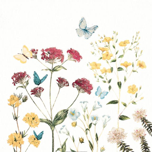 Leinwandbild Wild Flowers with Butterflies Brambly Cottage Größe: 61 cm x 91 cm x 3,8 cm T on Productcaster.