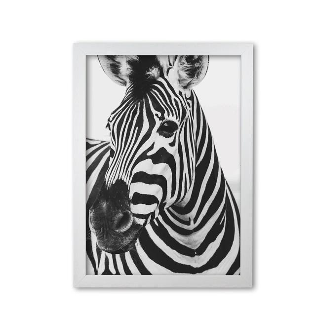 Zebra - Graphic Art Print on Paper East Urban Home Format: White Grain Frame, Size: 42 cm H x 30 cm W x 5 cm D on Productcaster.