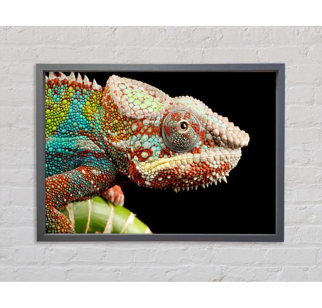 Chameleon Face - Print Bright Star Size: 59.7cm H x 84.1cm W x 3.3cm D on Productcaster.