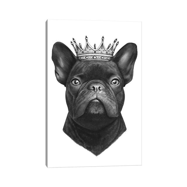 King French Bulldog by Valeriya Korenkova - Wrapped Canvas Typography Maturi Size: 30.48cm H x 20.32cm W x 1.905cm D on Productcaster.