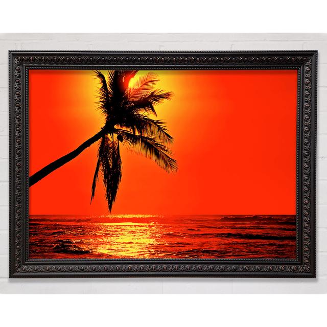 Palmtree Sunblaze Framed Print Bright Star Size: 84.1cm H x 118.9cm W x 3cm D on Productcaster.