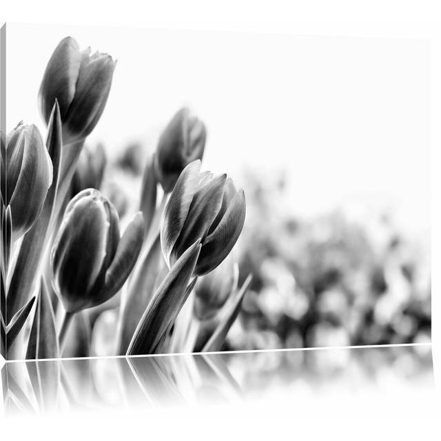 Leinwandbild Bunte Tulpenwiese in Monochrom East Urban Home Größe: 60 cm H x 80 cm B on Productcaster.